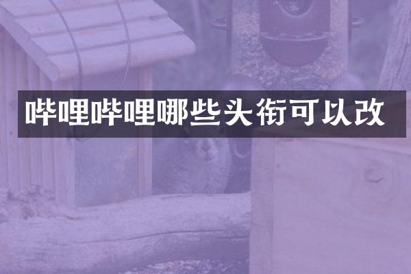 哔哩哔哩哪些头衔可以改