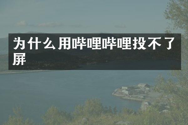为什么用哔哩哔哩投不了屏