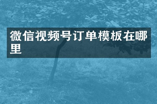 微信视频号订单模板在哪里