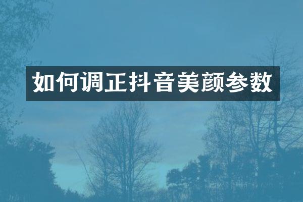 如何调正抖音美颜参数
