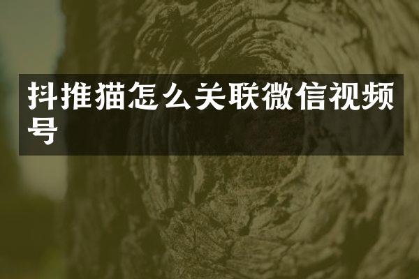 抖推猫怎么关联微信视频号