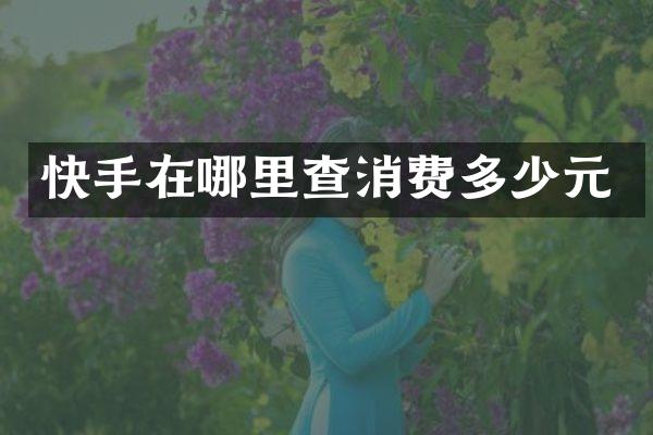 快手在哪里查消费多少元