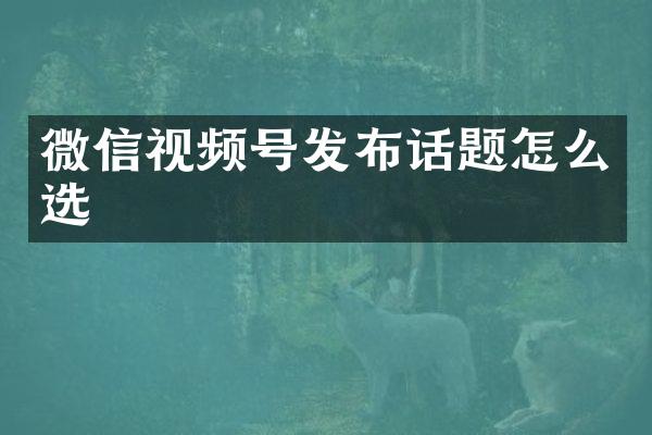微信视频号发布话题怎么选