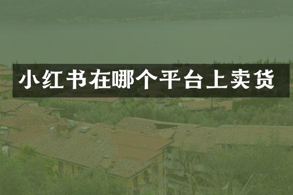 小红书在哪个平台上卖货
