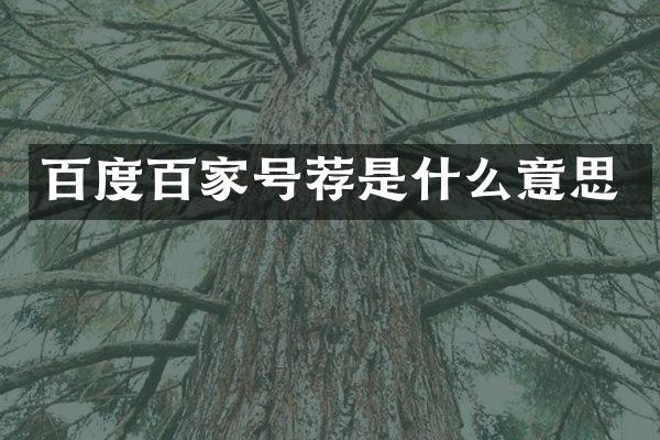 百度百家号荐是什么意思