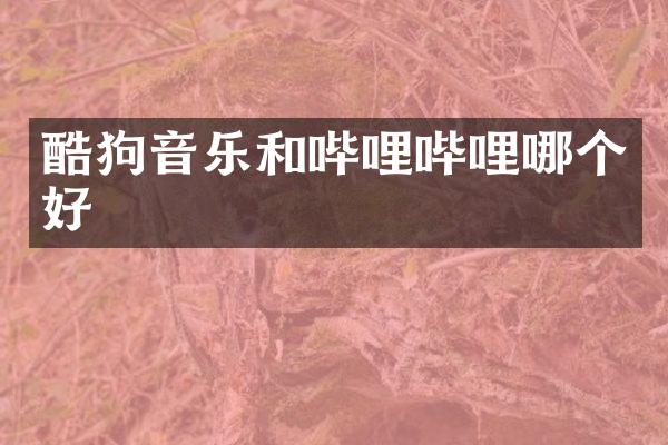 酷狗音乐和哔哩哔哩哪个好