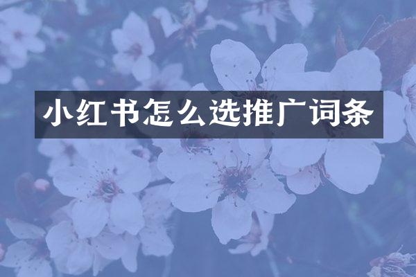 小红书怎么选推广词条