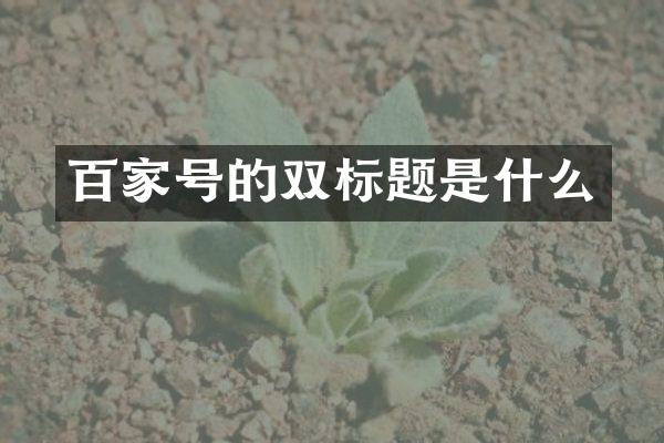 百家号的双标题是什么