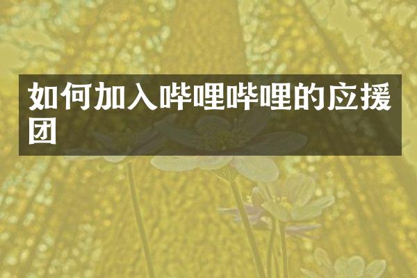 如何加入哔哩哔哩的应援团