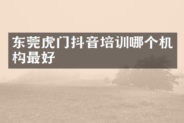 东莞虎门抖音培训哪个机构最好