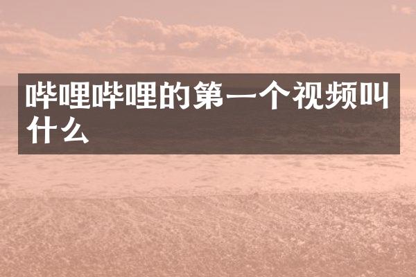 哔哩哔哩的第一个视频叫什么