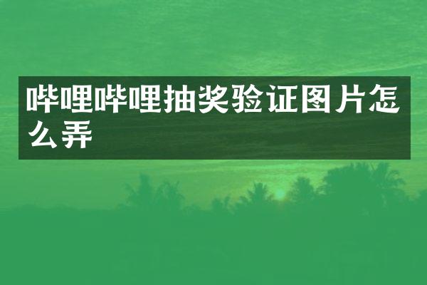 哔哩哔哩抽奖验证图片怎么弄
