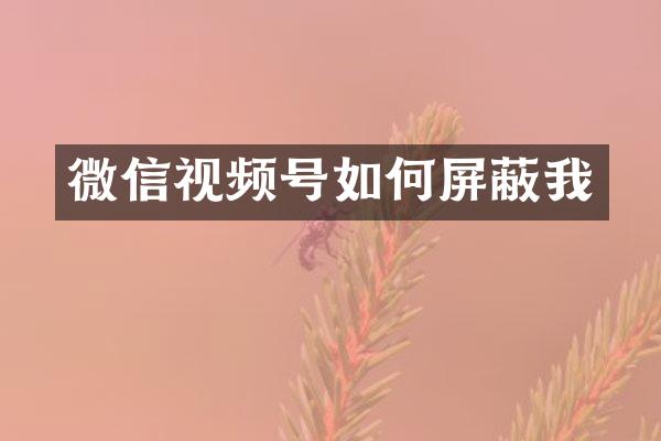 微信视频号如何屏蔽我
