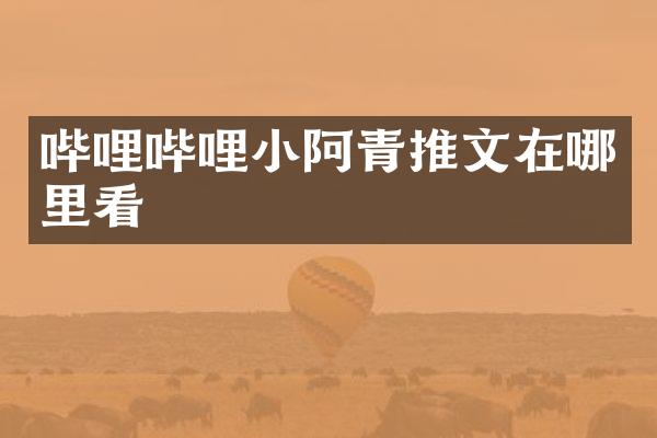 哔哩哔哩小阿青推文在哪里看