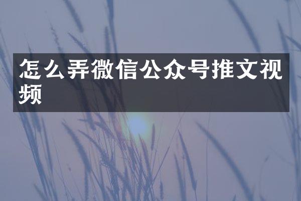 怎么弄微信公众号推文视频