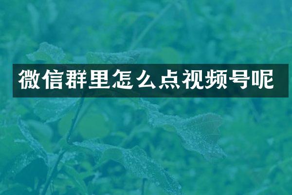 微信群里怎么点视频号呢