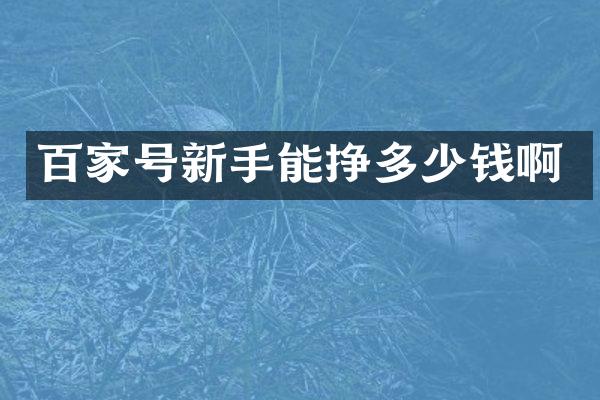 百家号新手能挣多少钱啊