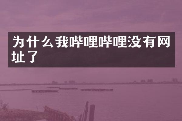为什么我哔哩哔哩没有网址了