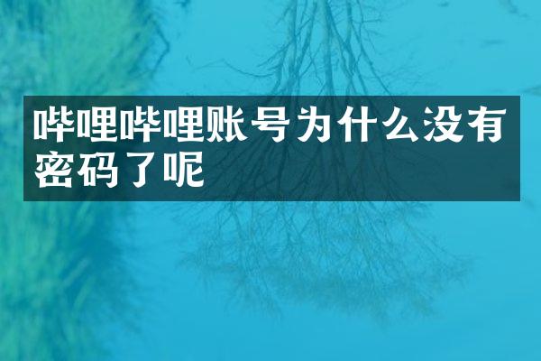 哔哩哔哩账号为什么没有密码了呢