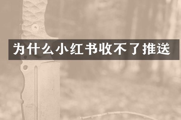 为什么小红书收不了推送