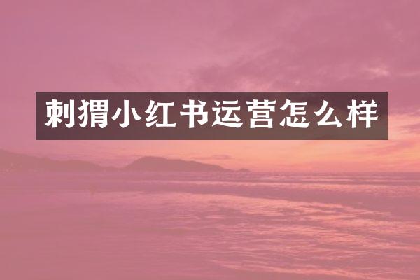 刺猬小红书运营怎么样