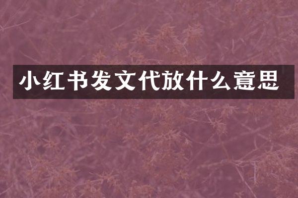 小红书发文代放什么意思