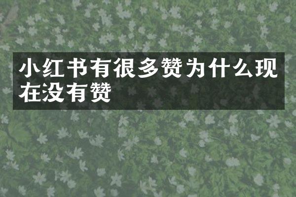 小红书有很多赞为什么现在没有赞