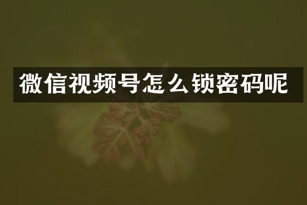 微信视频号怎么锁密码呢