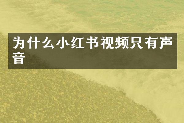 为什么小红书视频只有声音