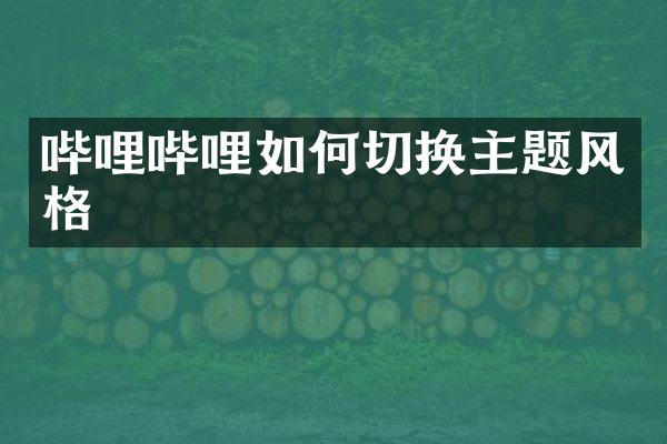 哔哩哔哩如何切换主题风格