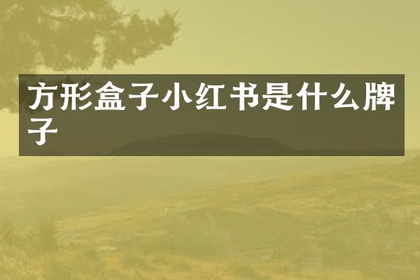 方形盒子小红书是什么牌子