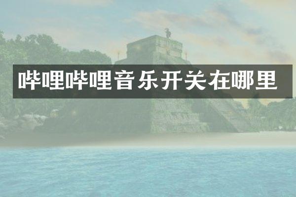 哔哩哔哩音乐开关在哪里