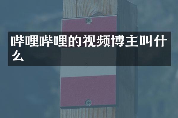 哔哩哔哩的视频博主叫什么