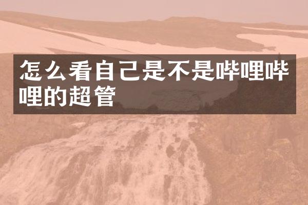 怎么看自己是不是哔哩哔哩的超管