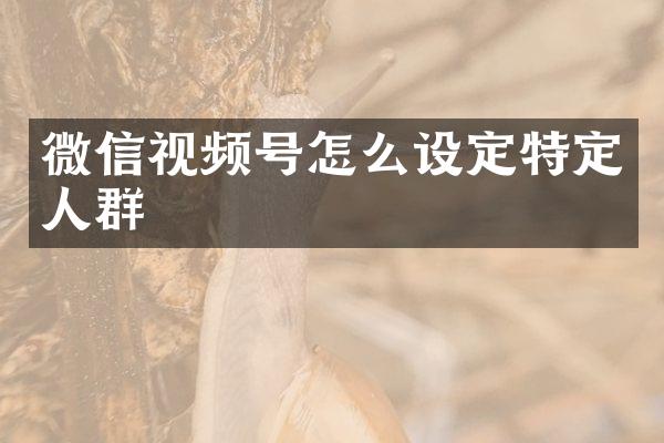 微信视频号怎么设定特定人群