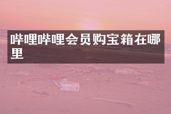 哔哩哔哩会员购宝箱在哪里