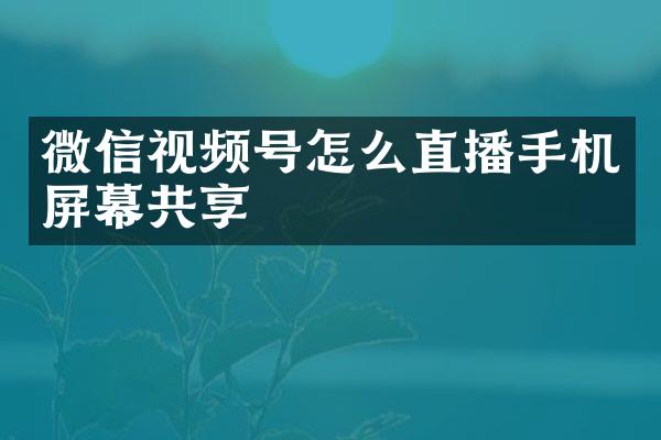 微信视频号怎么直播手机屏幕共享