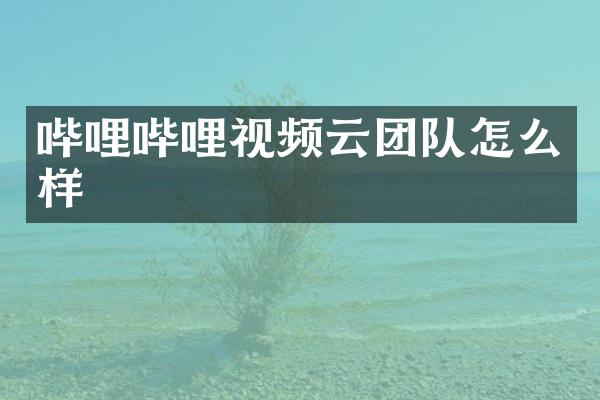 哔哩哔哩视频云团队怎么样
