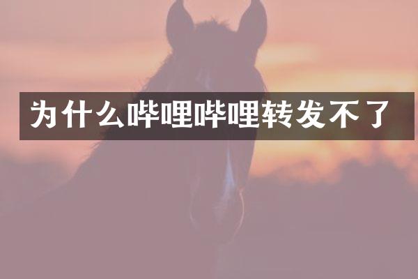 为什么哔哩哔哩转发不了