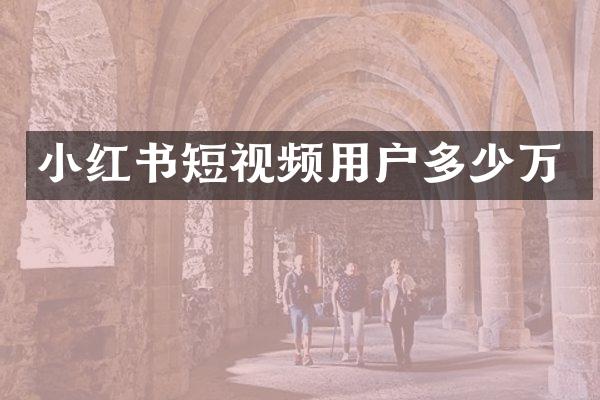 小红书短视频用户多少万