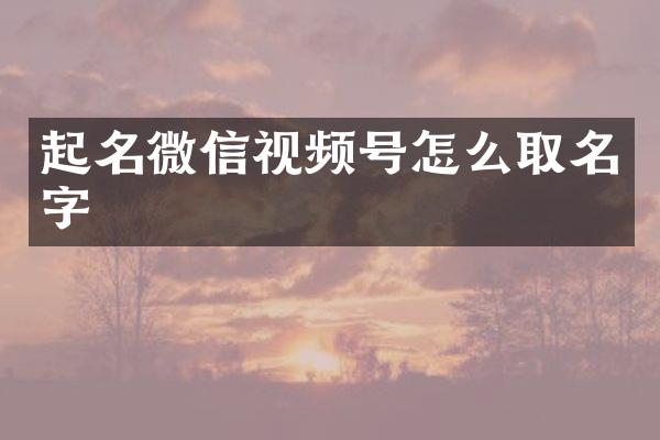 起名微信视频号怎么取名字