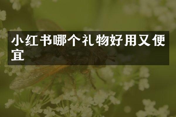 小红书哪个礼物好用又便宜