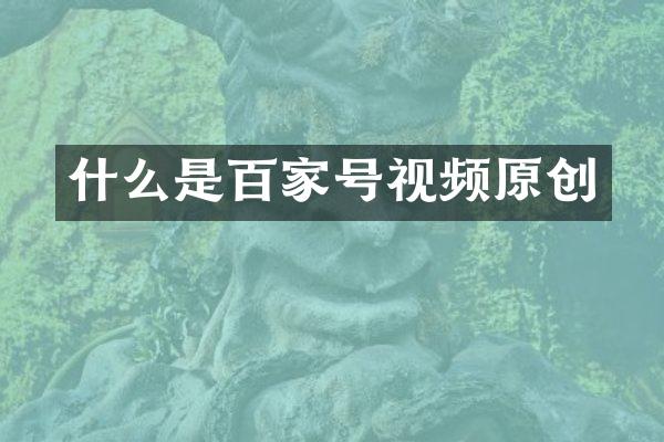 什么是百家号视频原创