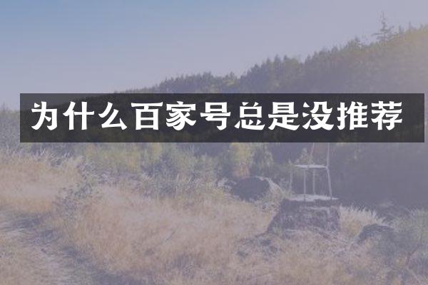 为什么百家号总是没推荐