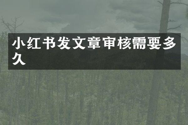 小红书发文章审核需要多久