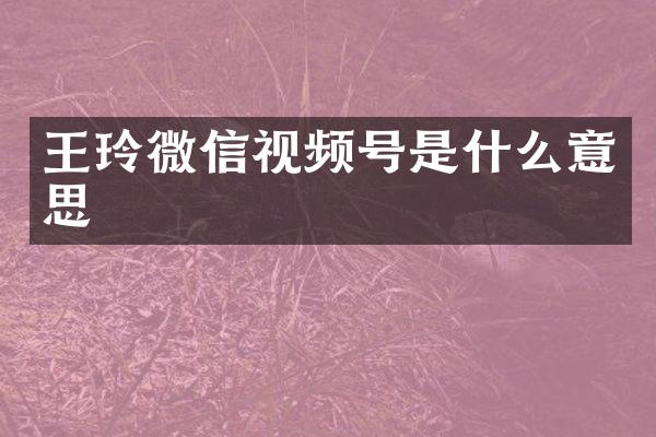 王玲微信视频号是什么意思