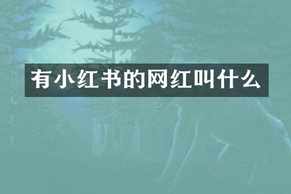 有小红书的网红叫什么