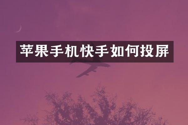 苹果手机快手如何投屏