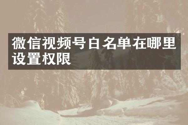 微信视频号白名单在哪里设置权限