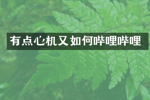 有点心机又如何哔哩哔哩